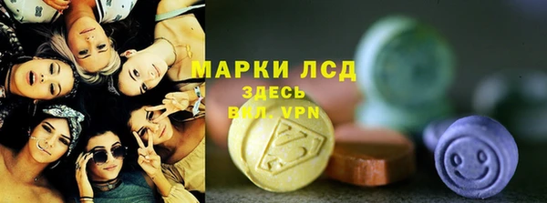 ГАЛЛЮЦИНОГЕННЫЕ ГРИБЫ Струнино