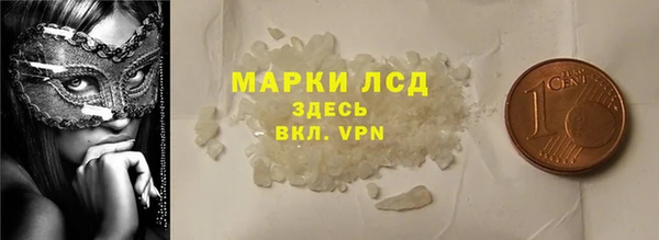 ГАЛЛЮЦИНОГЕННЫЕ ГРИБЫ Струнино