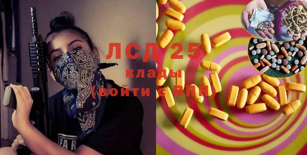 ГАЛЛЮЦИНОГЕННЫЕ ГРИБЫ Струнино